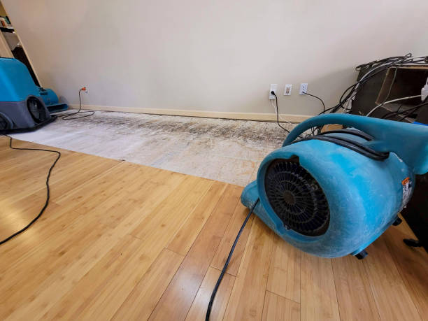 Professional Emergency Water Damage technician working in Holden, LA
